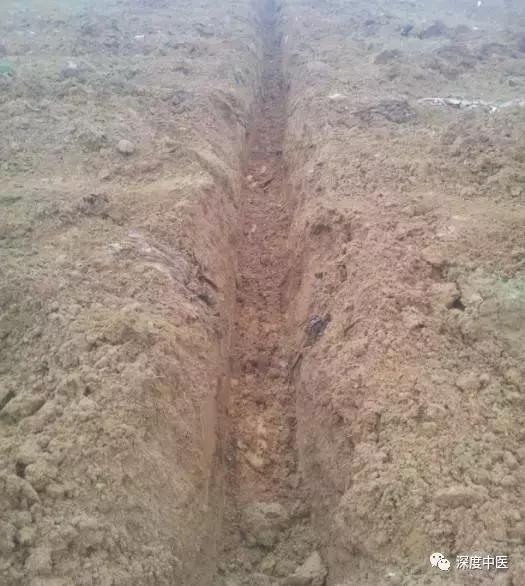 中医角度痛风的病因是什么,中医如何认识痛风