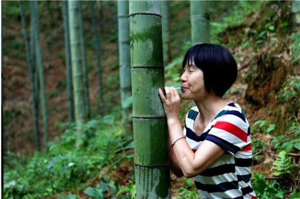 白酒灌进竹子里面会变质吗,酒倒入竹子竹子还能活吗