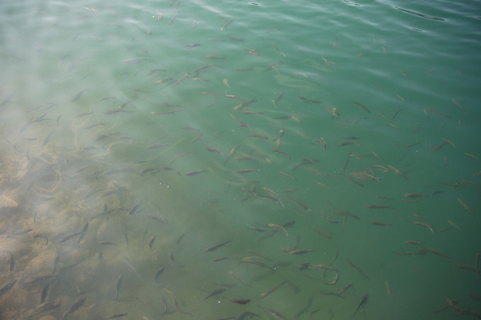 酒店亲子房主题房间,亲子儿童房酒店