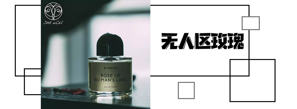 好闻又高级回头率超高的香水,香味持久的小众平价香水有哪些