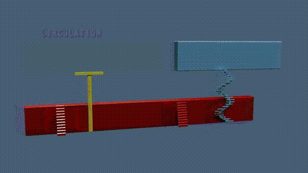 央视大楼裤衩设计师,中央电视台大裤衩设计者