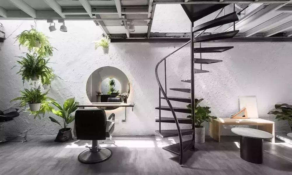 发廊角落绿植,发廊适合放的绿植