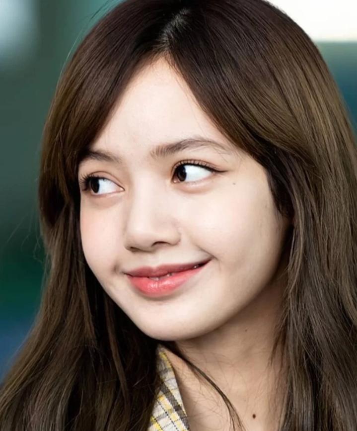 发色越掉越好看的颜色lisa同款,越掉色越好看发色lisa同款