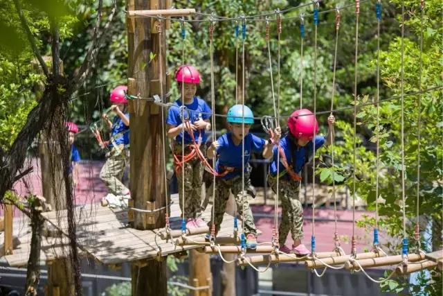 可拉熊团购,深圳可拉熊丛林探险营地团购门票