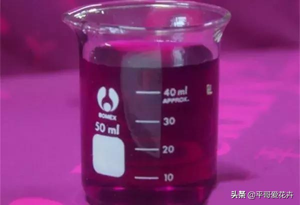 被晒蔫的植物怎么挽救,植物冻了怎么救活