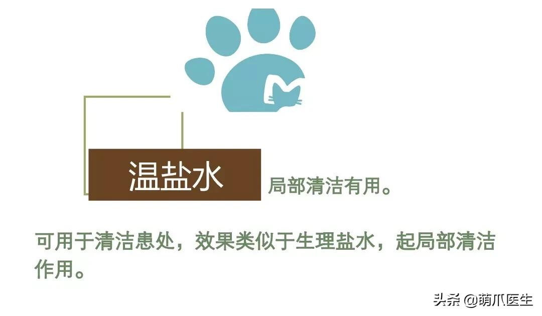 猫咪下巴长了黑头？千万别去抠，那是猫咪患上了毛囊炎的症状