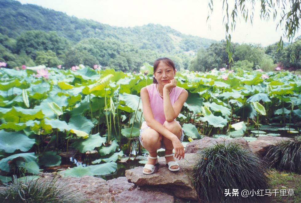 全家旅游苏州攻略,十一苏州家庭游