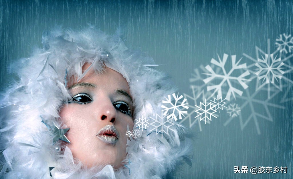 喜鹊唱山歌预兆,腊八遇冬至喜鹊唱山歌