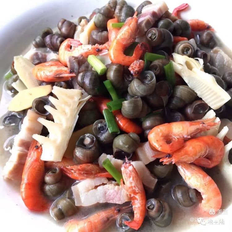 神奇小小螺粒粒赛肥鹅（散文）