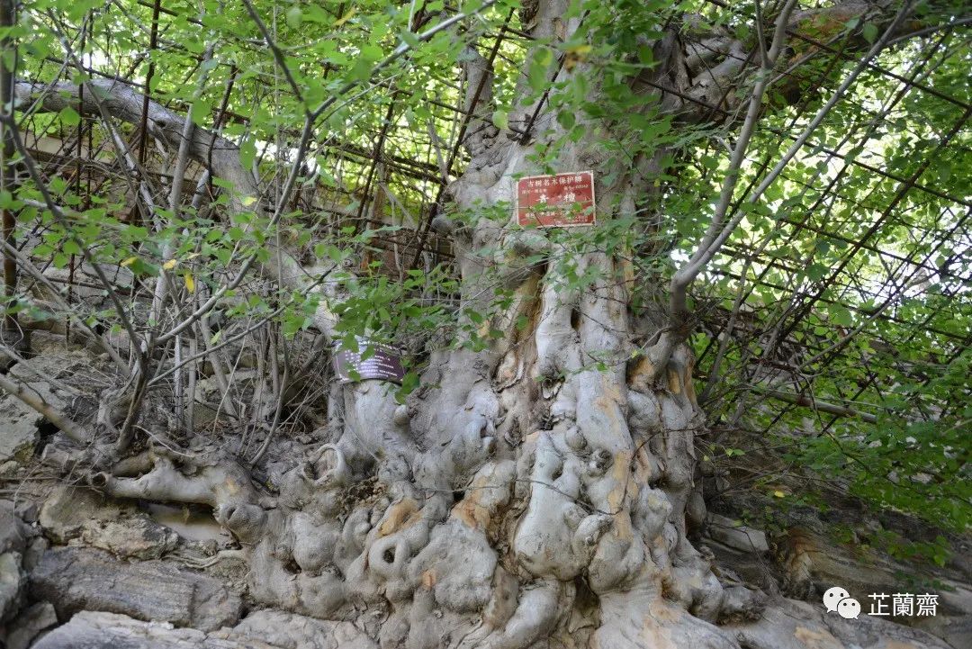 璞珷涔﹂櫌,涔﹂櫌淇濆畾