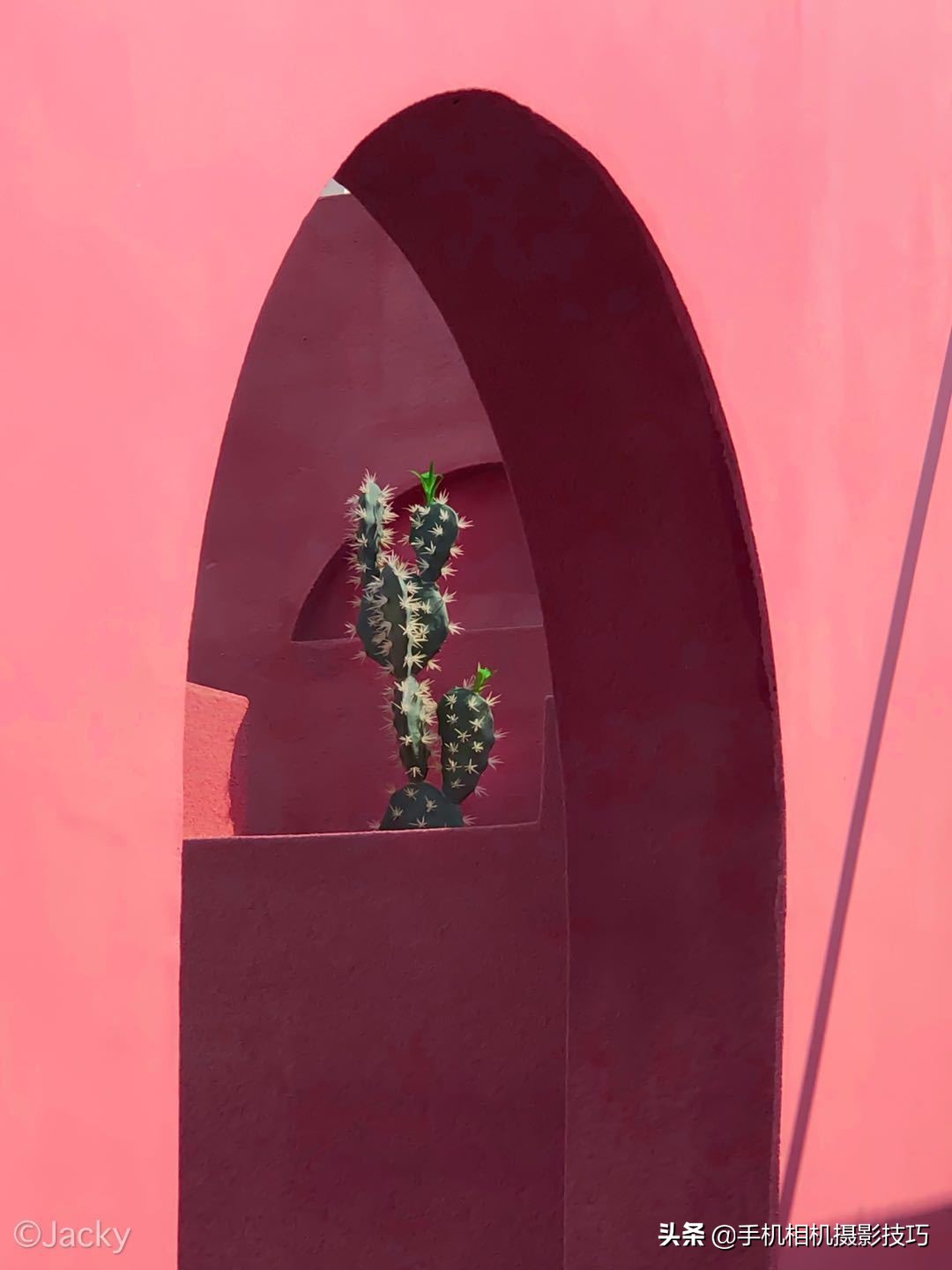 会摄影很酷,会摄影的人真的很酷