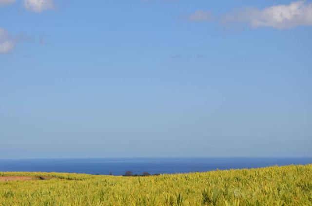 毛里求斯路易港市中心,毛里求斯路易港海底漫步