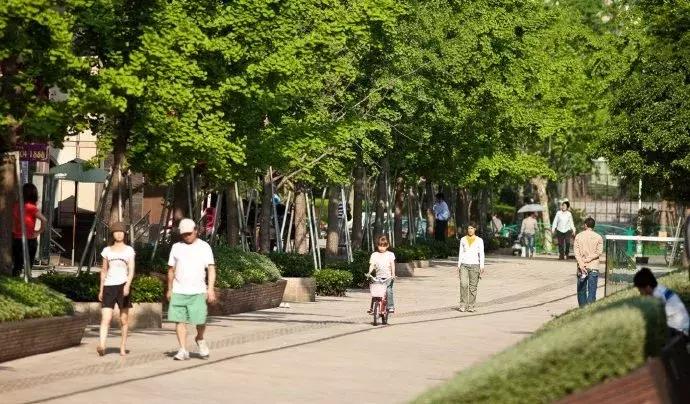 上海这个城市以前是什么样的,上海教育体系发展