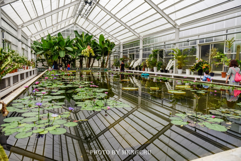 日本的哪个地方温泉最出名,日本最野的温泉