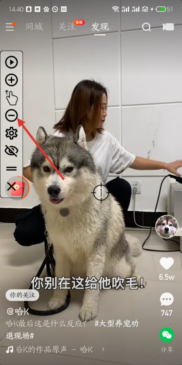 想全自动挂机赚钱吗，进来我教你