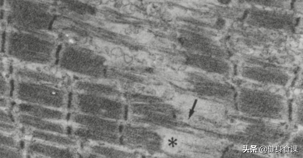 为什么练了不发力没有训练痕迹,为什么练完没有力但是不累