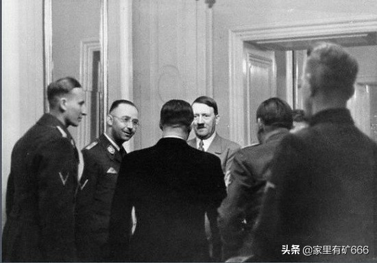 德意志黑王子,纳粹德国黑王子