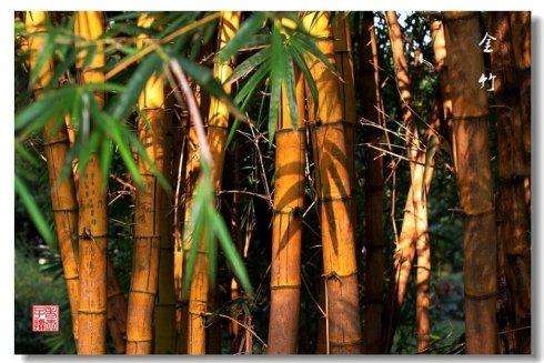 细说竹山,最近竹山县发生了什么