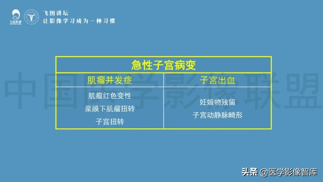 子宫解剖结构输卵管和卵巢位置,子宫附件ct影像学正常解剖表现