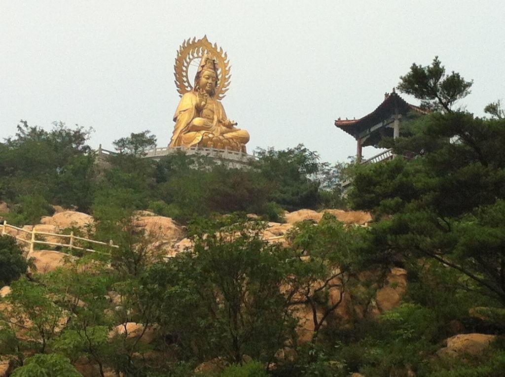 山东莱芜车牌号是什么字母,山东省十七地市车牌号