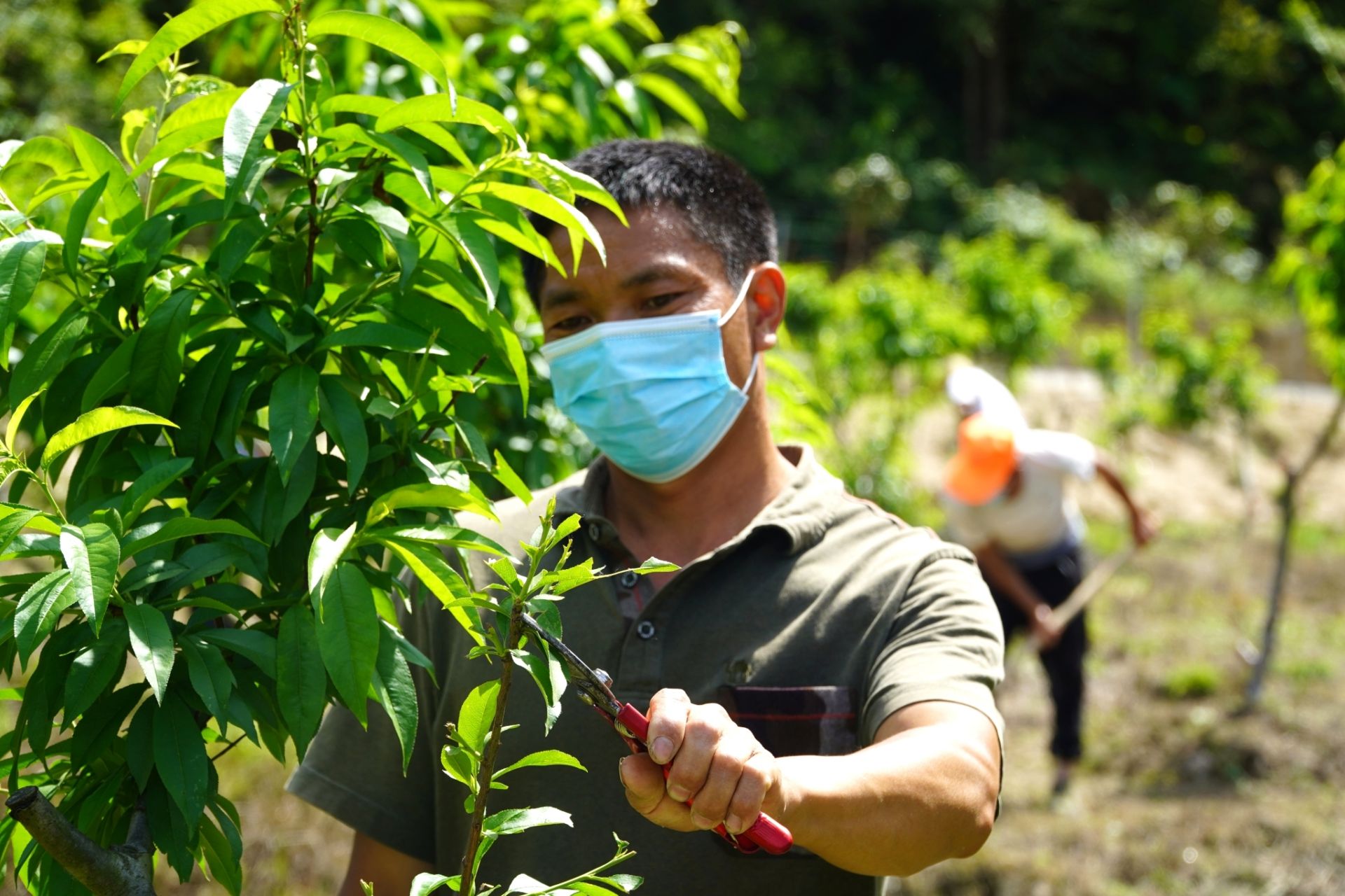 湖北省天门市美丽乡村建设名单,天门美丽乡村搬迁