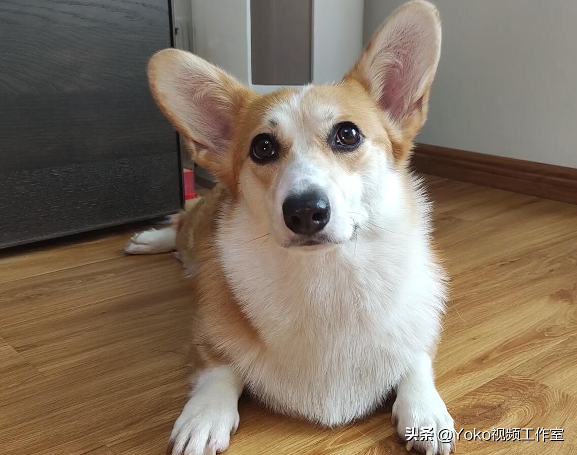 大学生买什么电脑性价比高,大学生买多少钱电脑合适