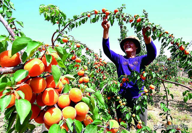 70年·夸夸我的城｜固原：吾心安处是吾乡，蓄势待发未来可期！