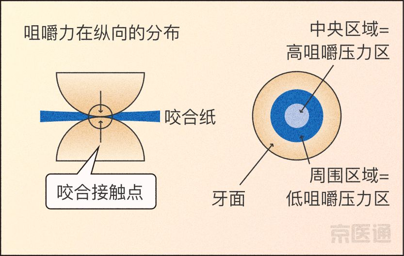 磨牙不好是真的吗,磨牙的危害与注意事项