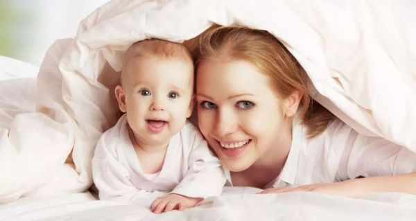 马伊琍清风计划 (清风计划马伊琍)