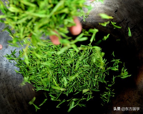 漫漫问茶路,能不忆江南?——久负盛名的“香郁若兰”