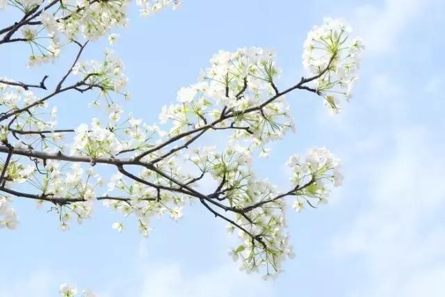 如此才华横溢,如此绝美的诗句