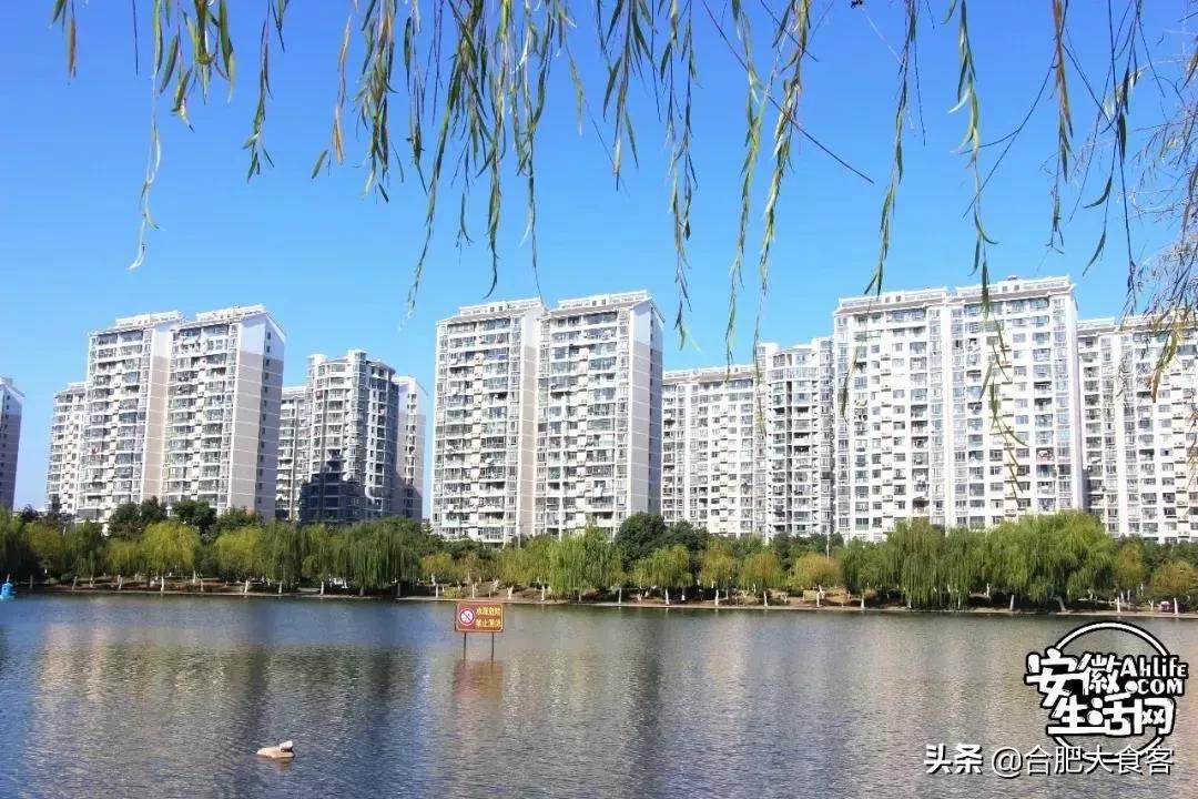 2020年，在这50个地方遇见不一样的合肥