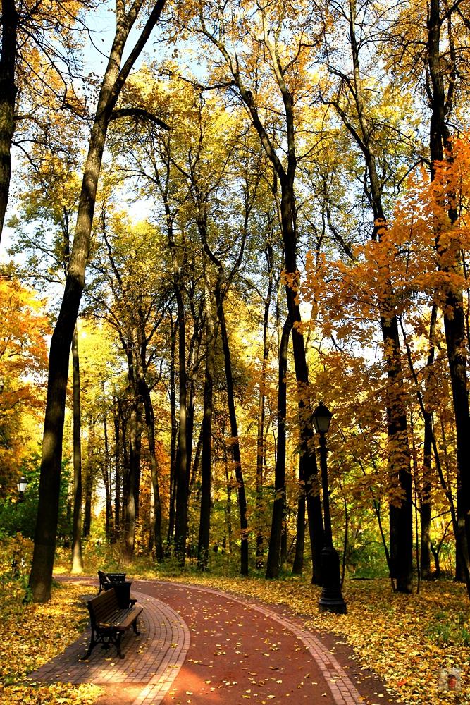 奢华宏伟,绝美的风景俄罗斯