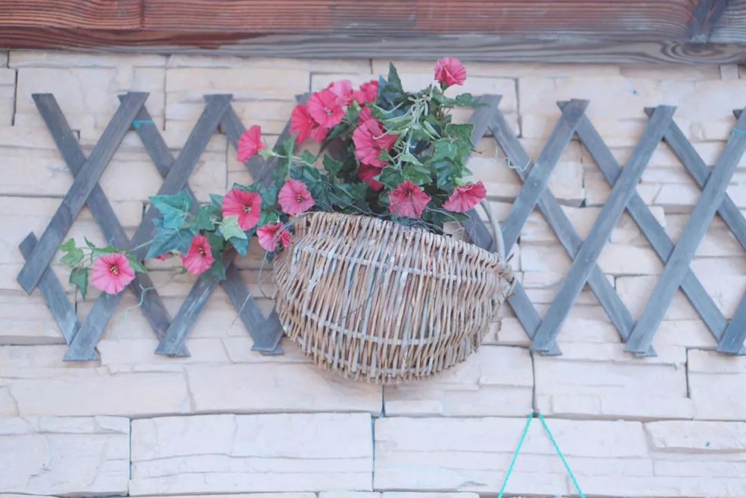 浙江最值得去的海岛 (浙江一定要去的5个海岛)