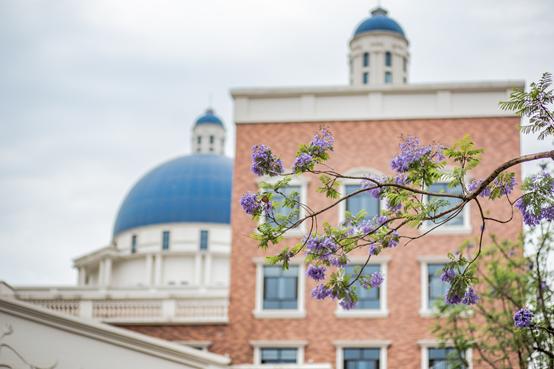 新川外国语学校建校时间,新川外国语学校2021年