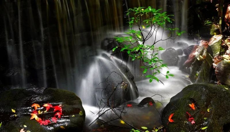 端午去哪玩昆明,暑假自驾游攻略昆明天气