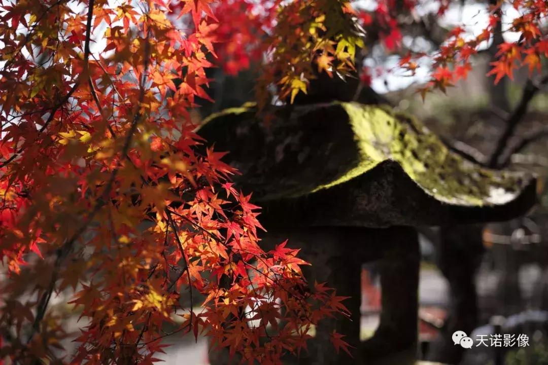 锐不可当字体图片,锐不可当的镜头