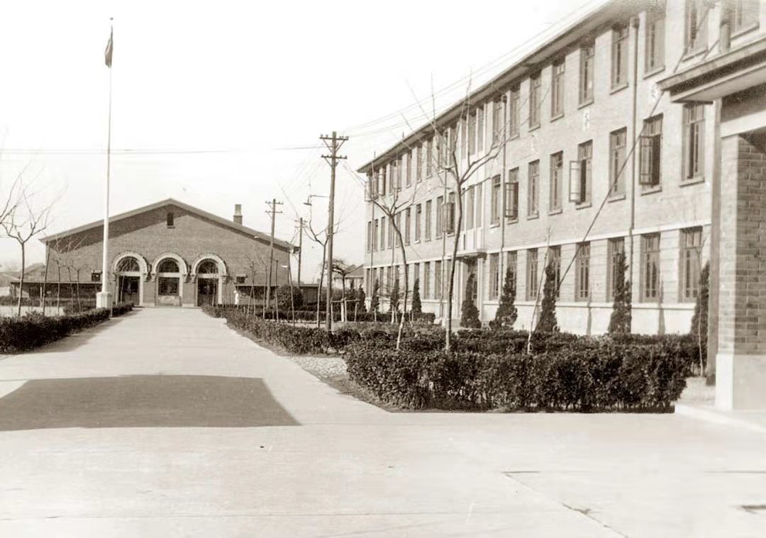 五十年代老草根轶事149~新华医院（二）