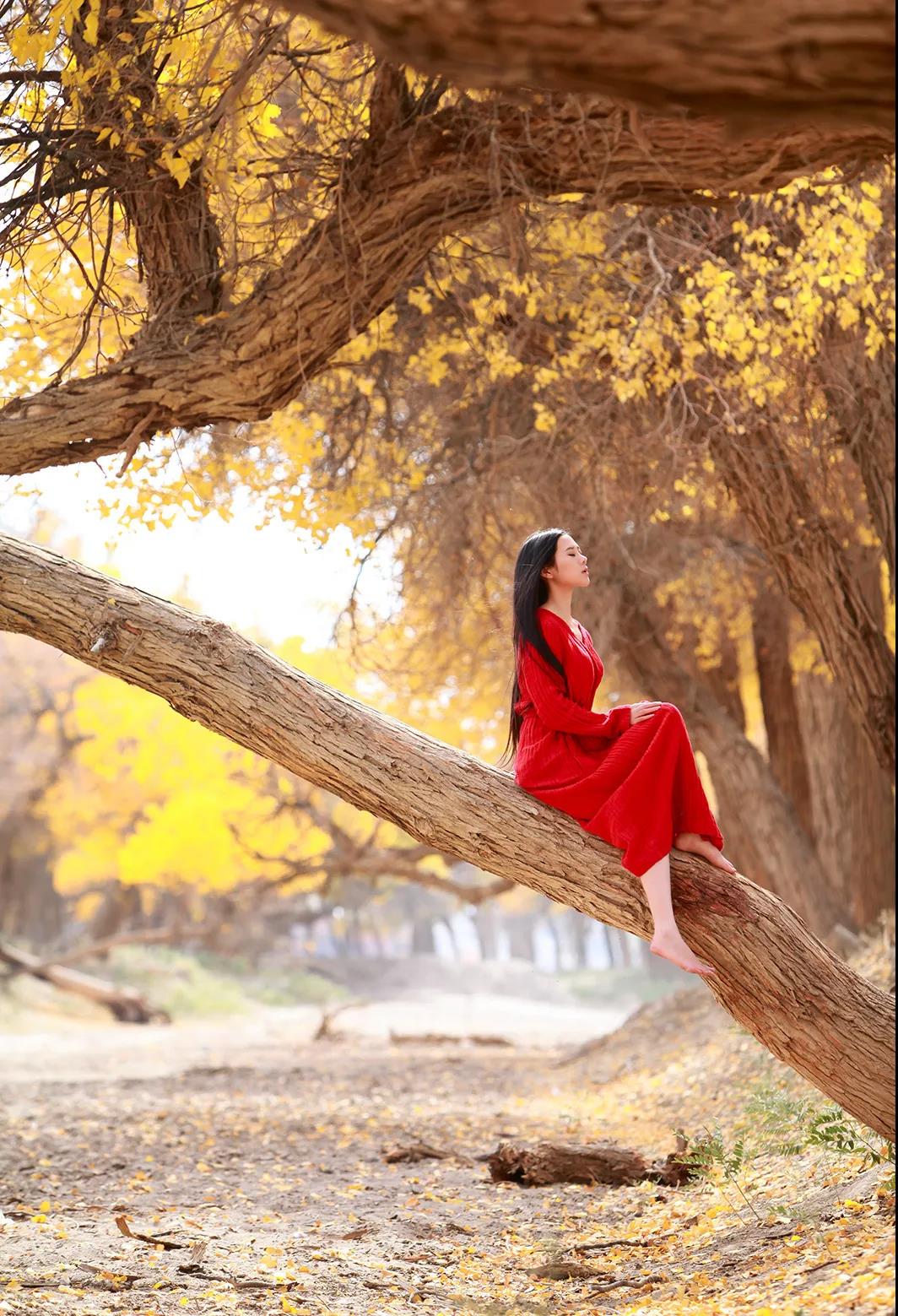 额济纳旗住宿一般多少钱,国庆额济纳旗胡杨林攻略