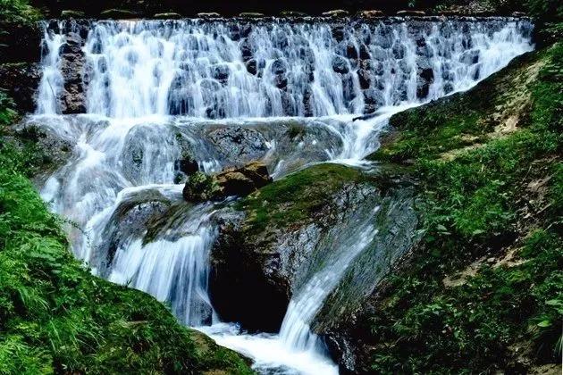 商洛市牛背梁景区介绍,商洛牛背梁旅游景点高清图片