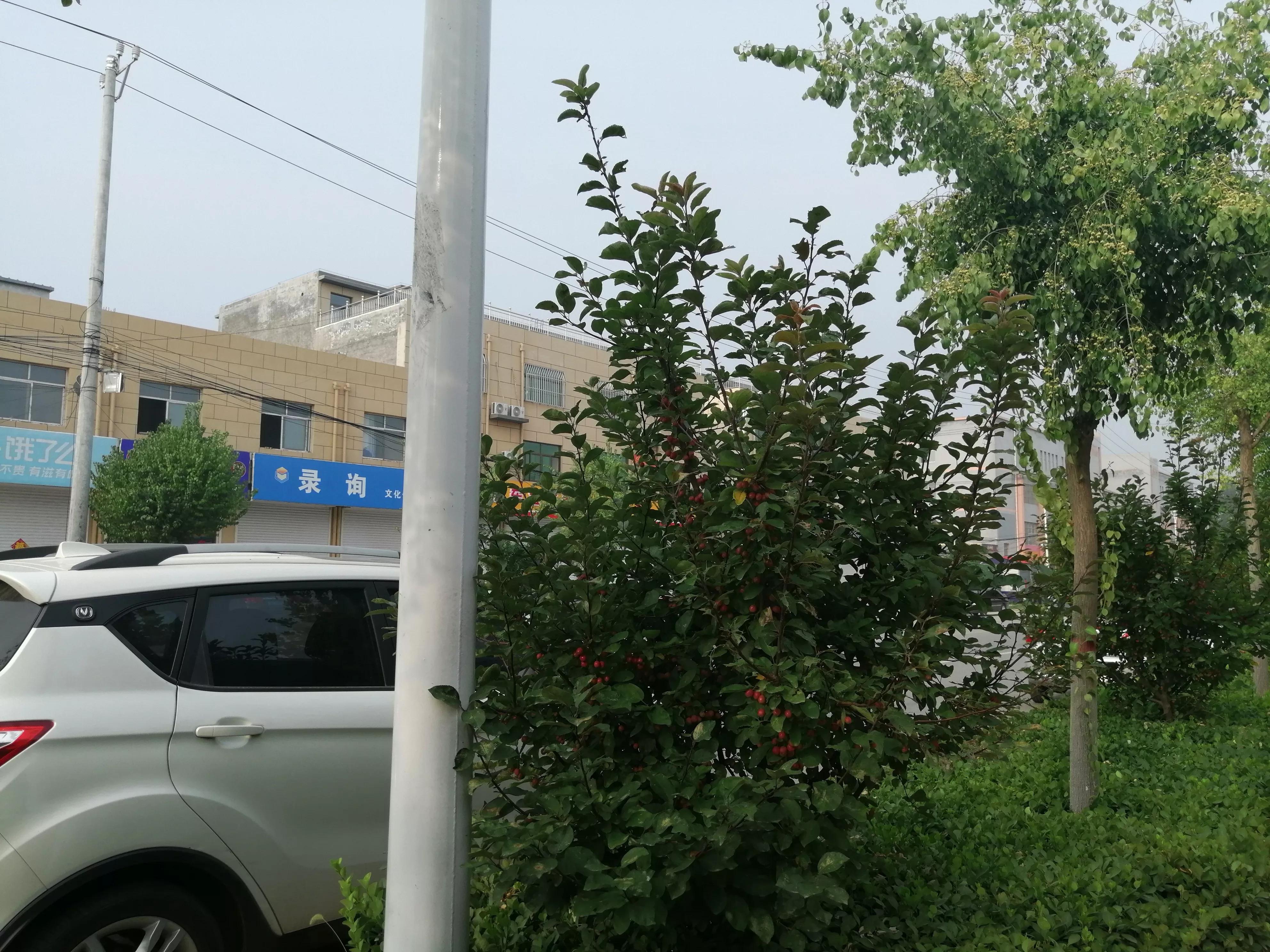 母女俩因为一个男人反目成仇,母女俩相依为命故事