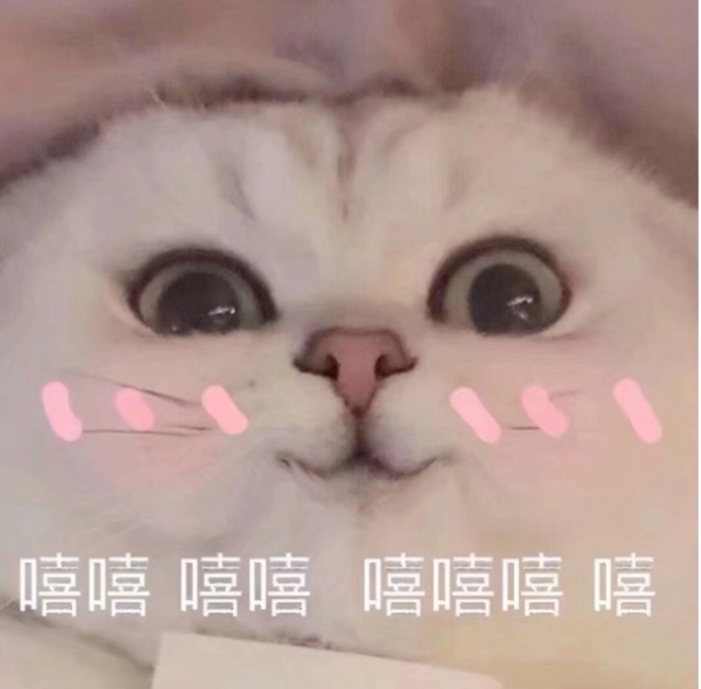 怎样让猫咪喜欢你帮它梳毛,猫咪经常犯错铲屎官应该如何调教