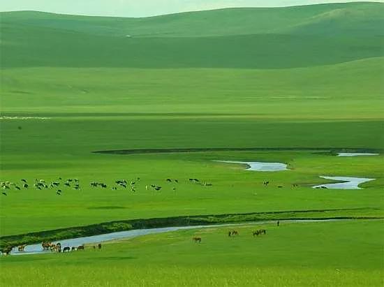 内蒙古施工总承包资质办理要求,内蒙古一级资质建筑公司名单