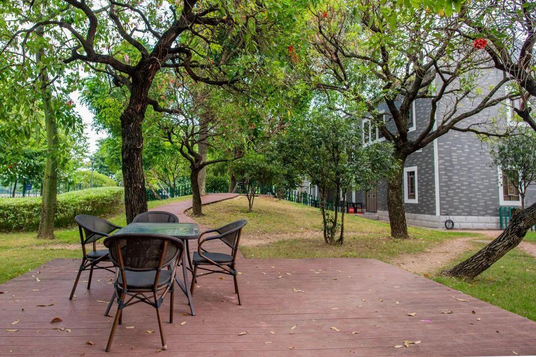 体验度假式甩肉,科学享瘦,7天秒变男神收割机