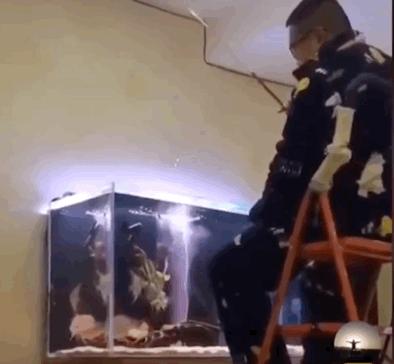 再也不想休假啦！长期隔离，宅家无聊焦躁，教你3招，实用又贴心