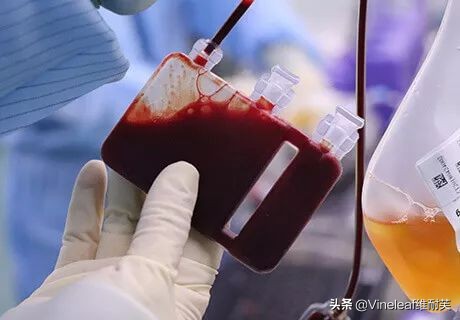 脐带血存不了是什么原因,脐带血不存不捐后是不是就丢掉了