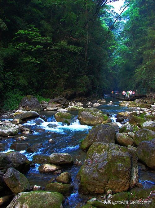 黑山谷深度洗肺,重庆黑山谷游记