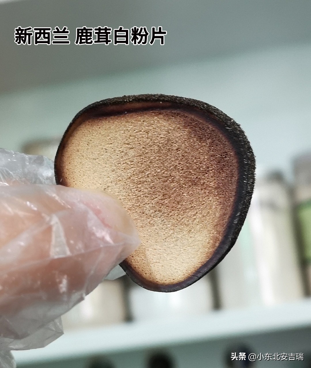别再把鹿茸和梅花鹿茸画等号了，你以为的并不是你以为的