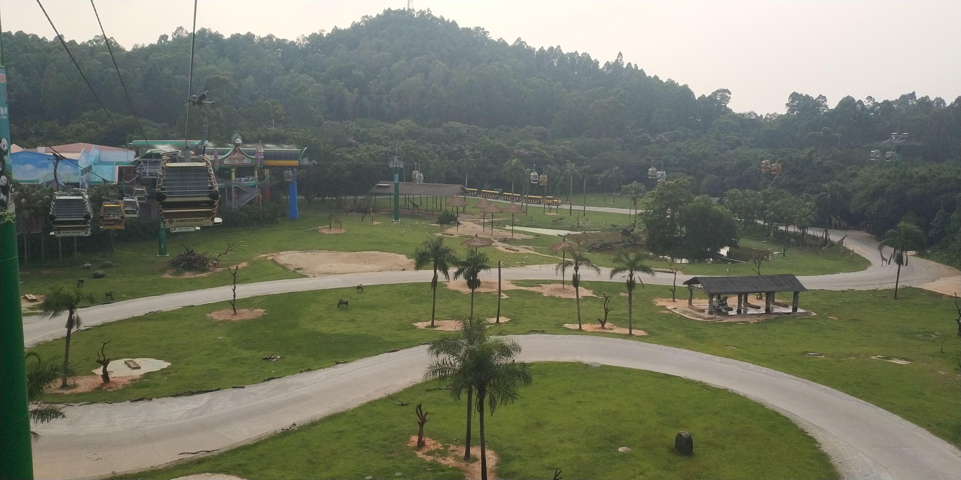 暑假带娃去广州长隆野生动物世界,周末亲子时光广州长隆野生动物园