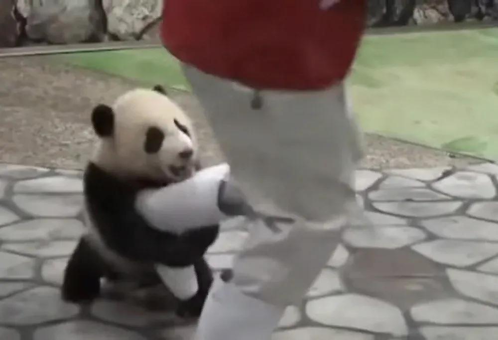 我们不知道的动物小常识,要警惕动物的奇怪行为